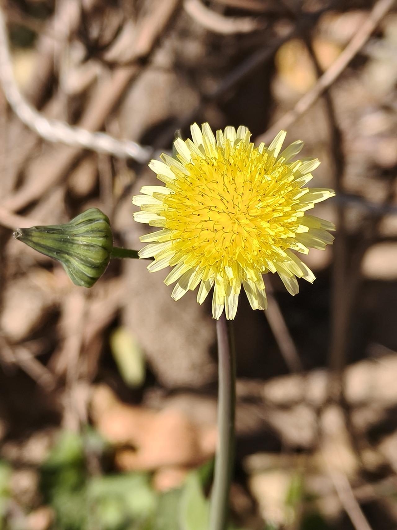 我新发布的内容被官方推荐啦！👍你也快来发布一条吧！带