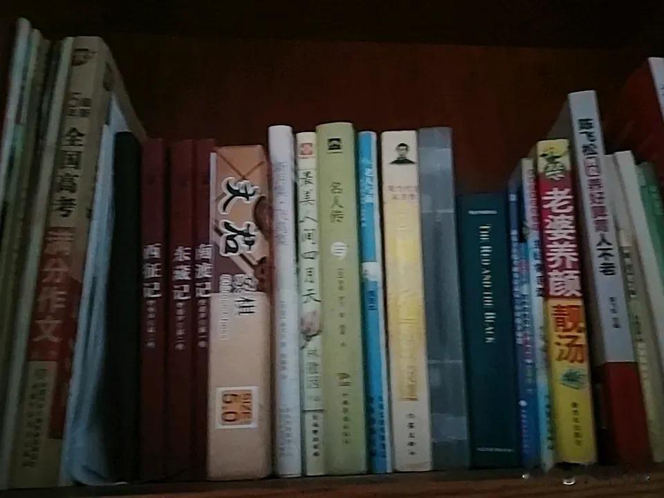 《老残游记》是我国十大古典白话长篇小说，作者刘鹗，他揭露晚清社会黑暗腐败的内幕，