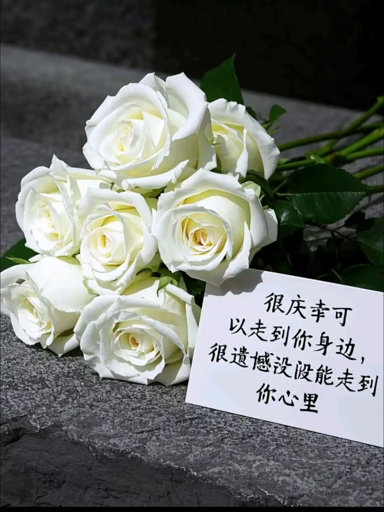 很庆幸可以走到你身边，很遗憾没能走到你心里”