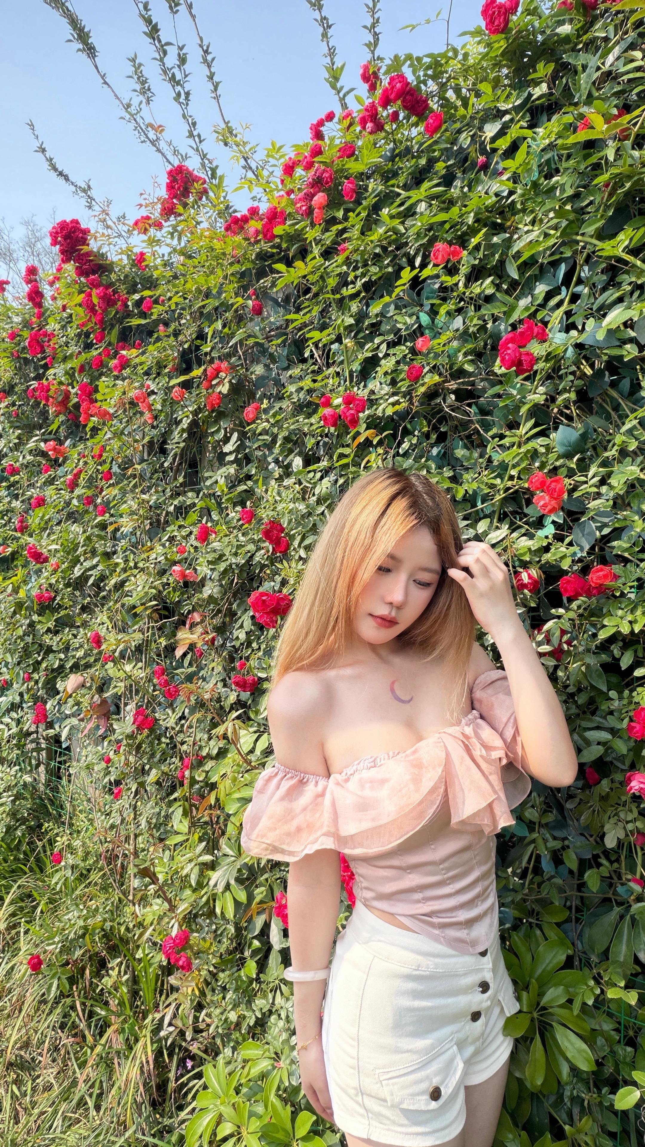 那天我经过一片花园 可是你不在