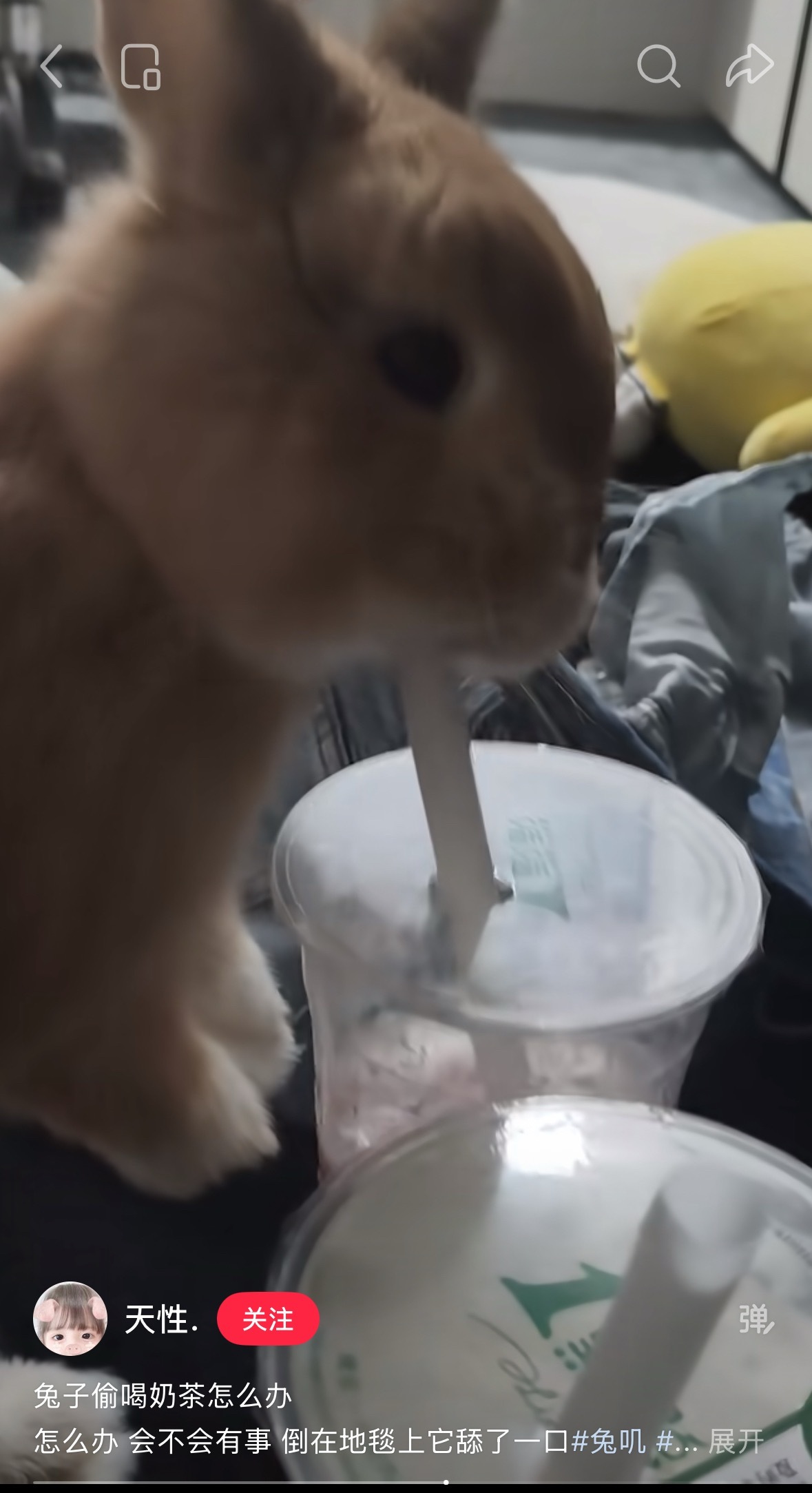 笋羊发帖 