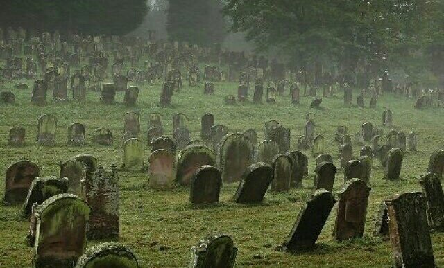 清明节发一张我最喜爱的角色大合影🚬 