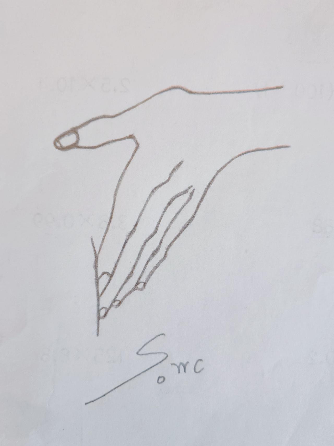 懂的人自然懂 
搞笑灵魂画手 简笔画 懂的都是老司机