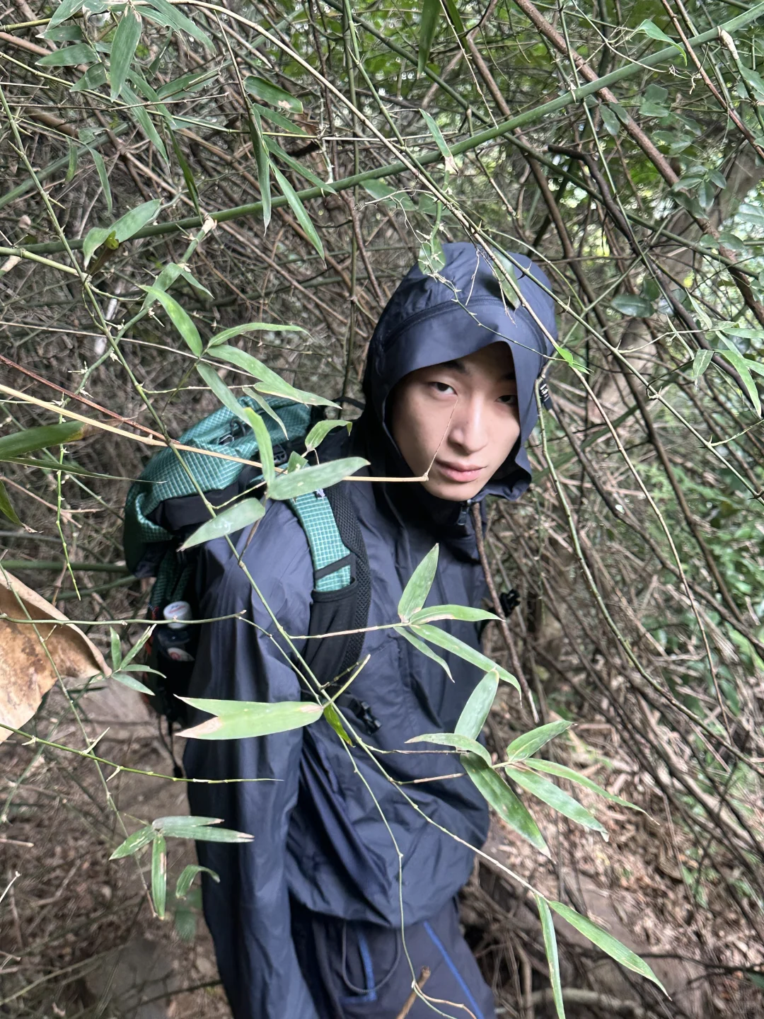 丛林探险🎋