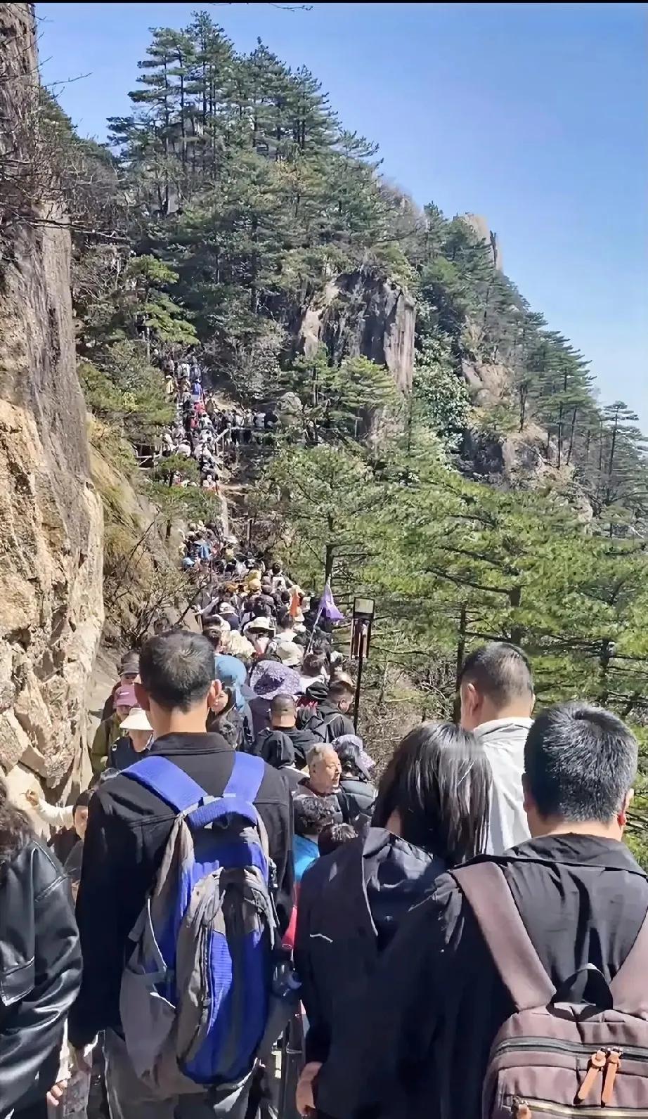 春日生活打卡季有钱的闲人是真多啊，景区都是人！