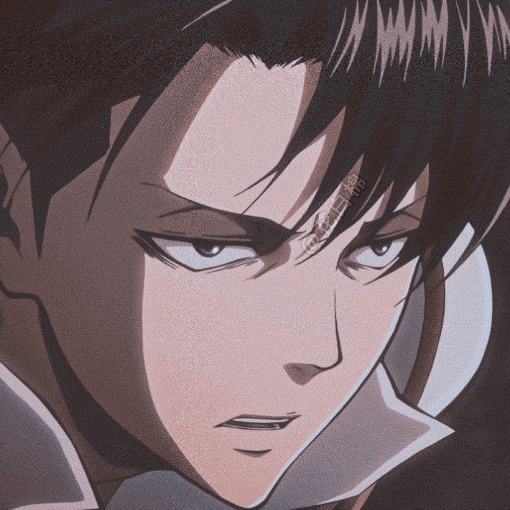 兵长 Levi 利威尔|ω・）🟫⬜️ 