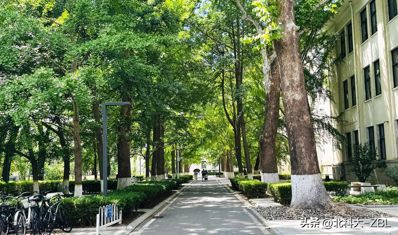 龙鑫智能无需抢时间，大家可踏踏实实睡懒觉，起床后从从容容申购

龙鑫智能是一家智