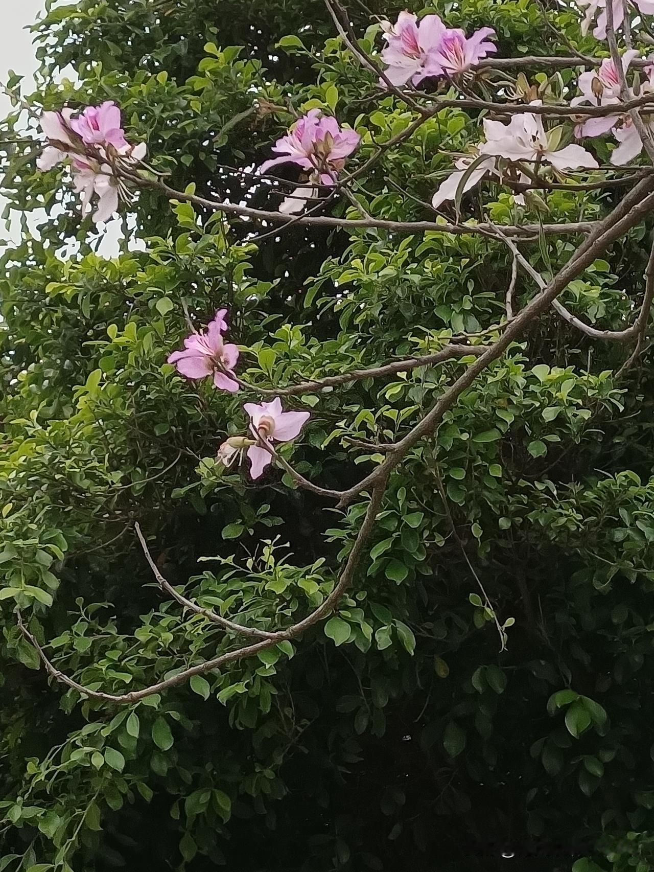 和闺蜜悄悄说点看不惯的人和事，早上是酒店自助餐，虽然不丰盛，品种也不是很多，但营