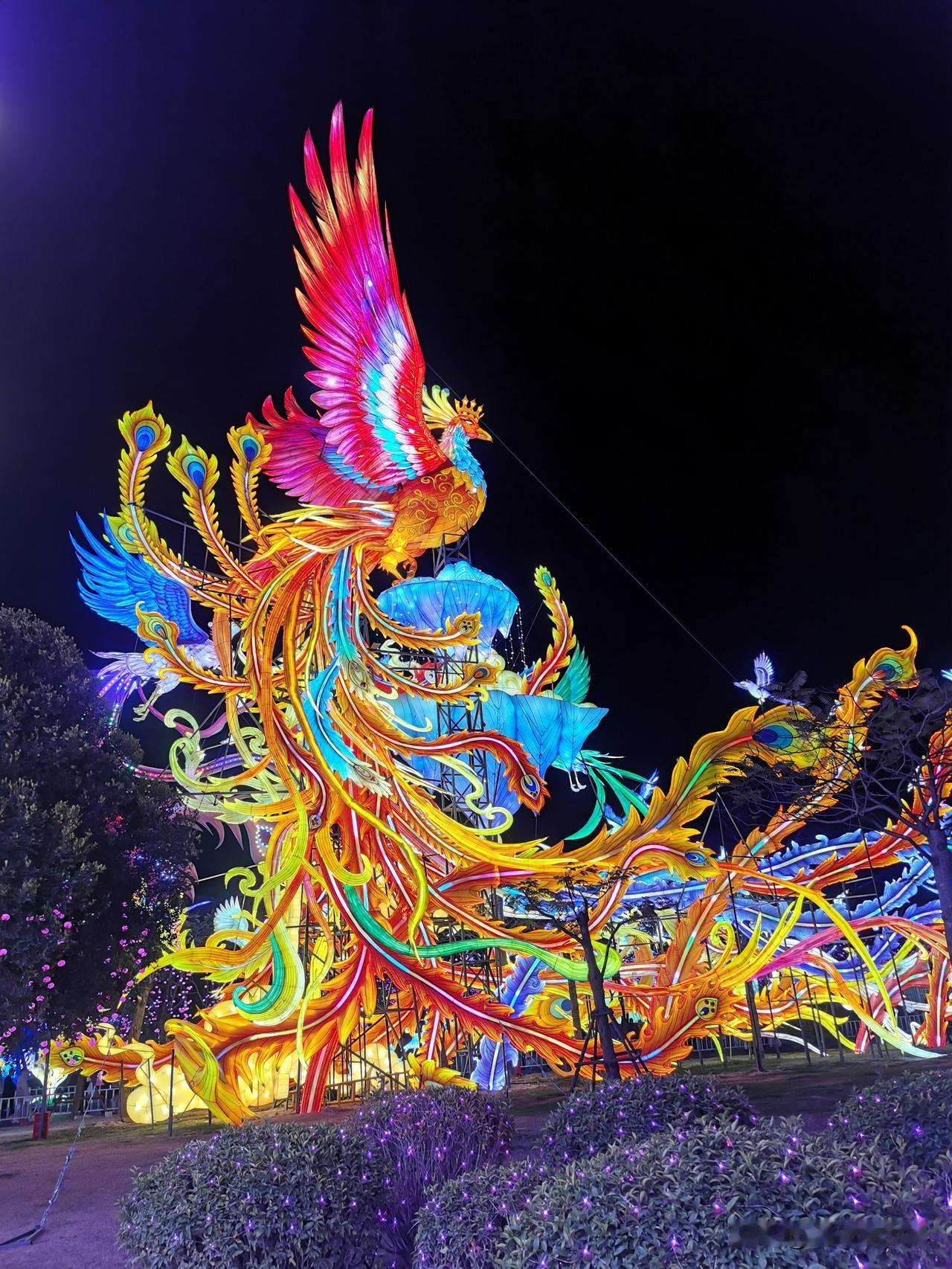 灯会夜景美不胜收，各种造型别致的灯笼交相辉映。打卡厦门集美园博园灯会。