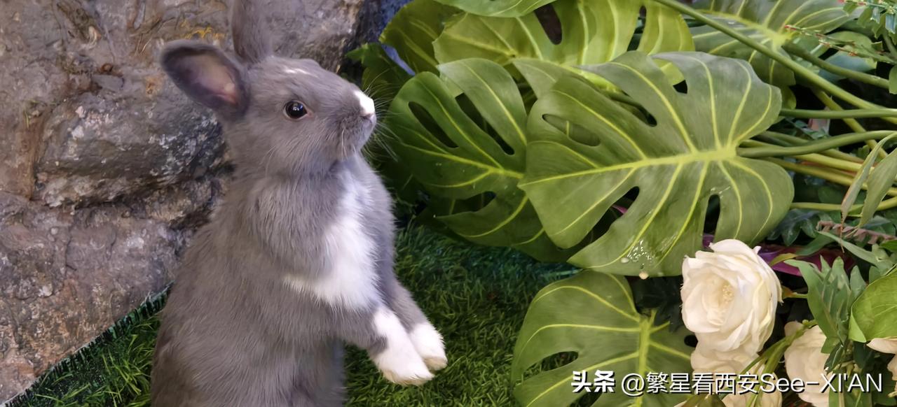 不知不觉间工作一天的疲惫和困顿也全都消除。[ok]