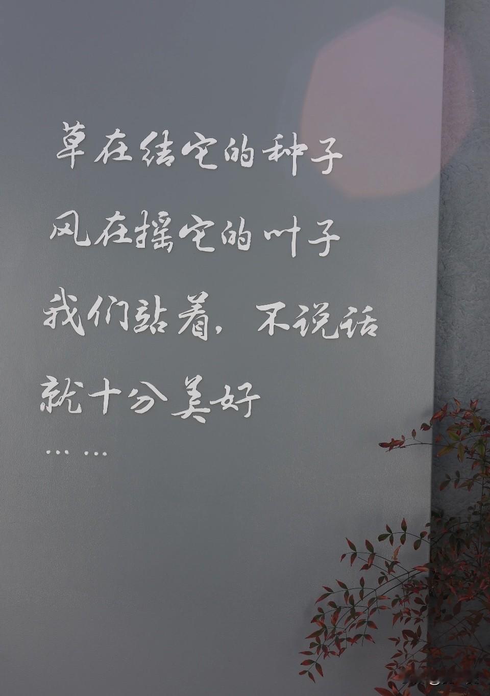平淡的乡村日常
光阴钟情，生活很“田”
人在农村
天空🌌赐予我无限治愈
乡村小