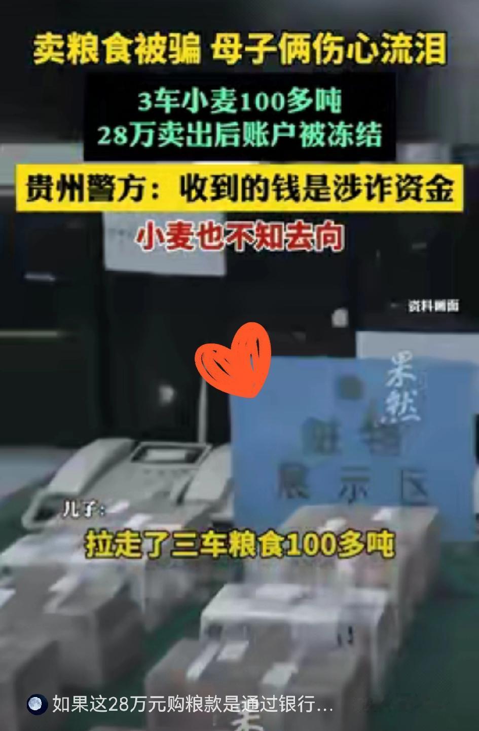 谁能想到，卖个粮食还能被诈骗！
河南母子卖100多吨小麦，
28万到账还没焐热，