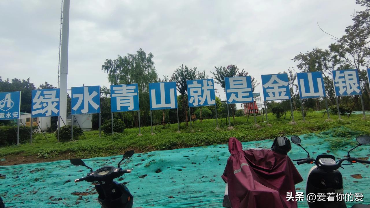 在“绿水青山就是金山银山”理念的引领下，合肥的绿化建设开展得如火如荼。
长江东大