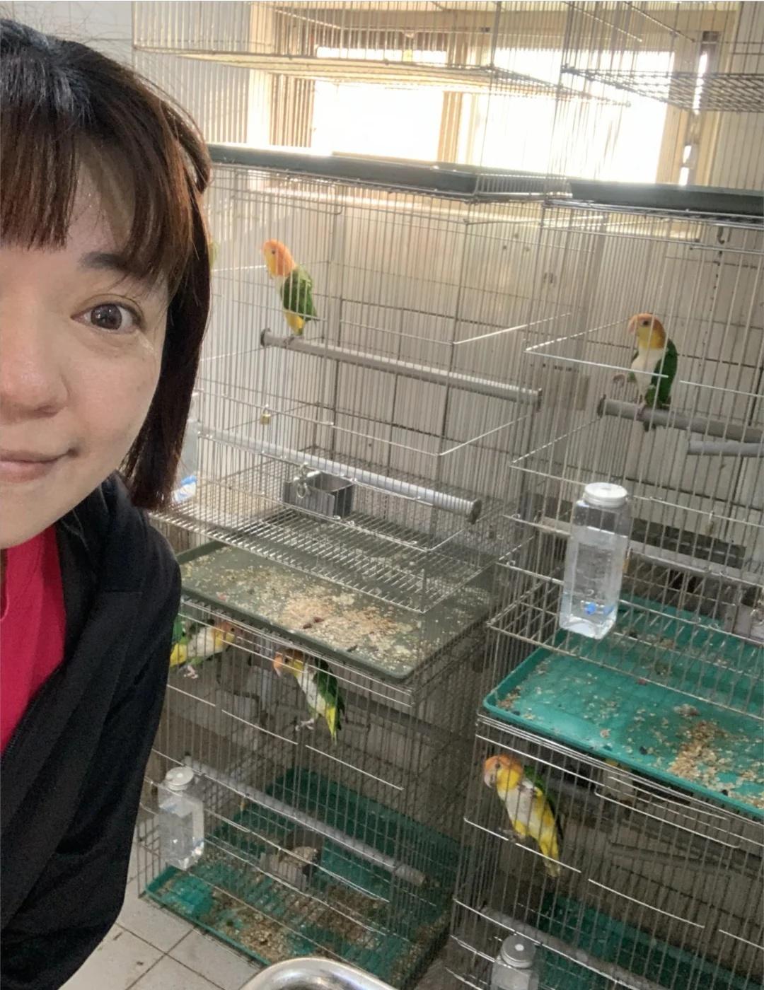 今天是鳥類鏟屎官🥲🥲🥲🥲
看不下去了⋯⋯老頭養鳥臭臭💩的
鏟屎一天，我