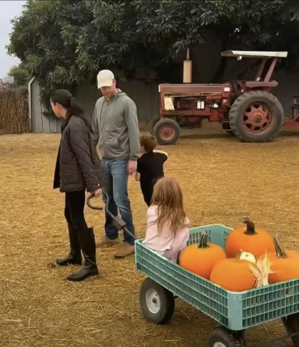 梅根晒照了：梅根夫妇带着一双儿女去收南瓜，一家子其乐融融，真好！梅根打扮低调，咖