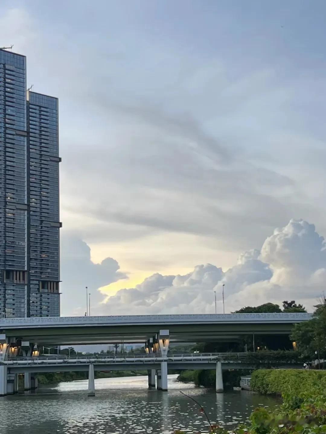 有人说，深圳这座城市，除了房价贵了点，其他方面都还挺好的，比如环境，是无数人心中