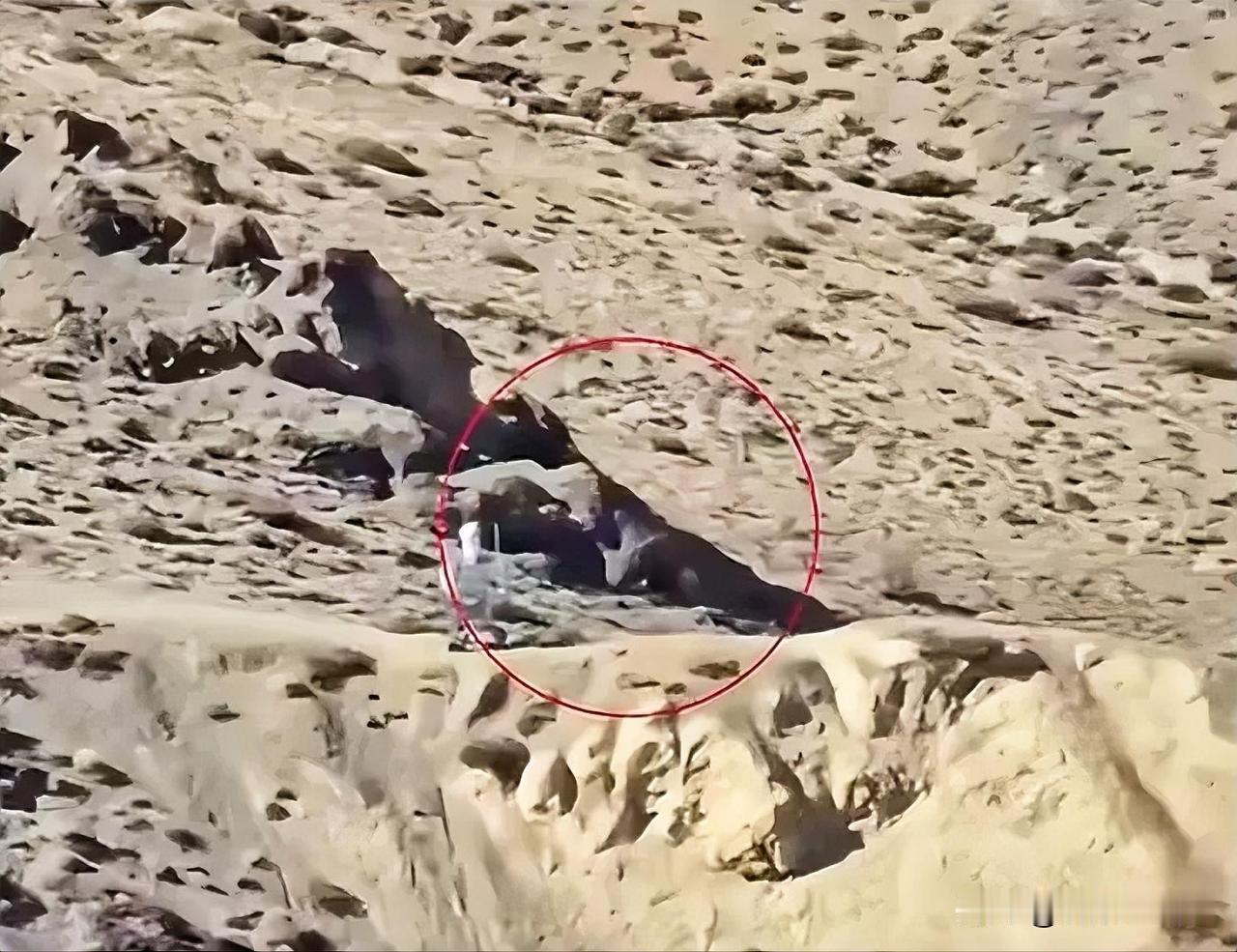 印度惊呆了！突然发现在中印边境中国用机器人站岗！太棒了！多用这样的机器人，我们的