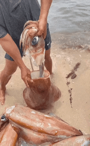 主打一个新鲜～