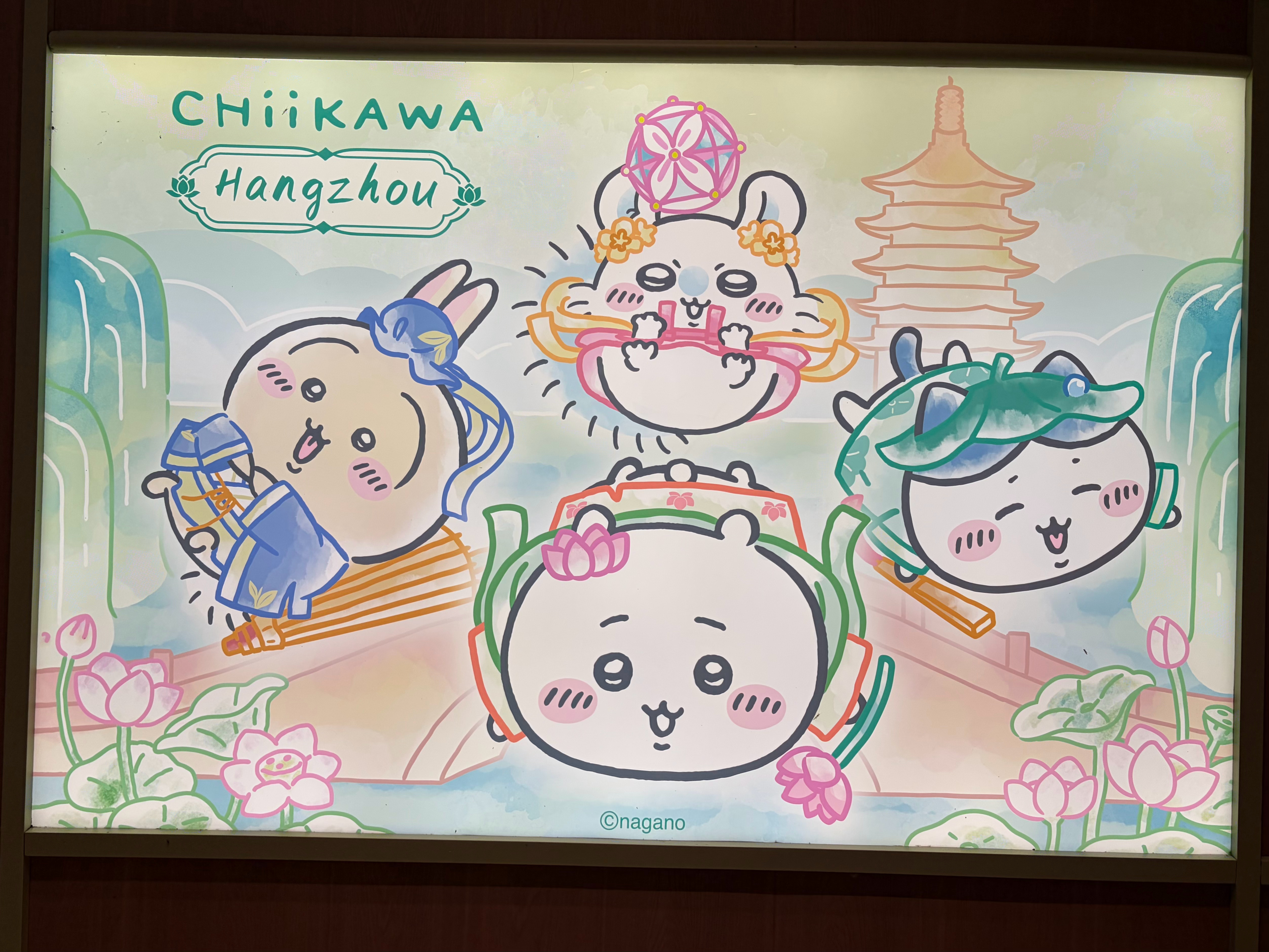 再见杭州✈️下次见啦～  ​​​