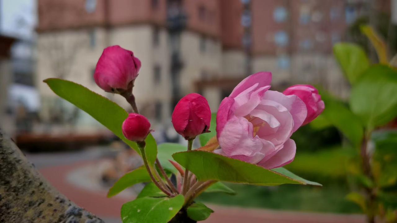 念别人的好，修自己的心
 
人这一辈子，说到底都是在修心。年纪越大越明白，与其揪