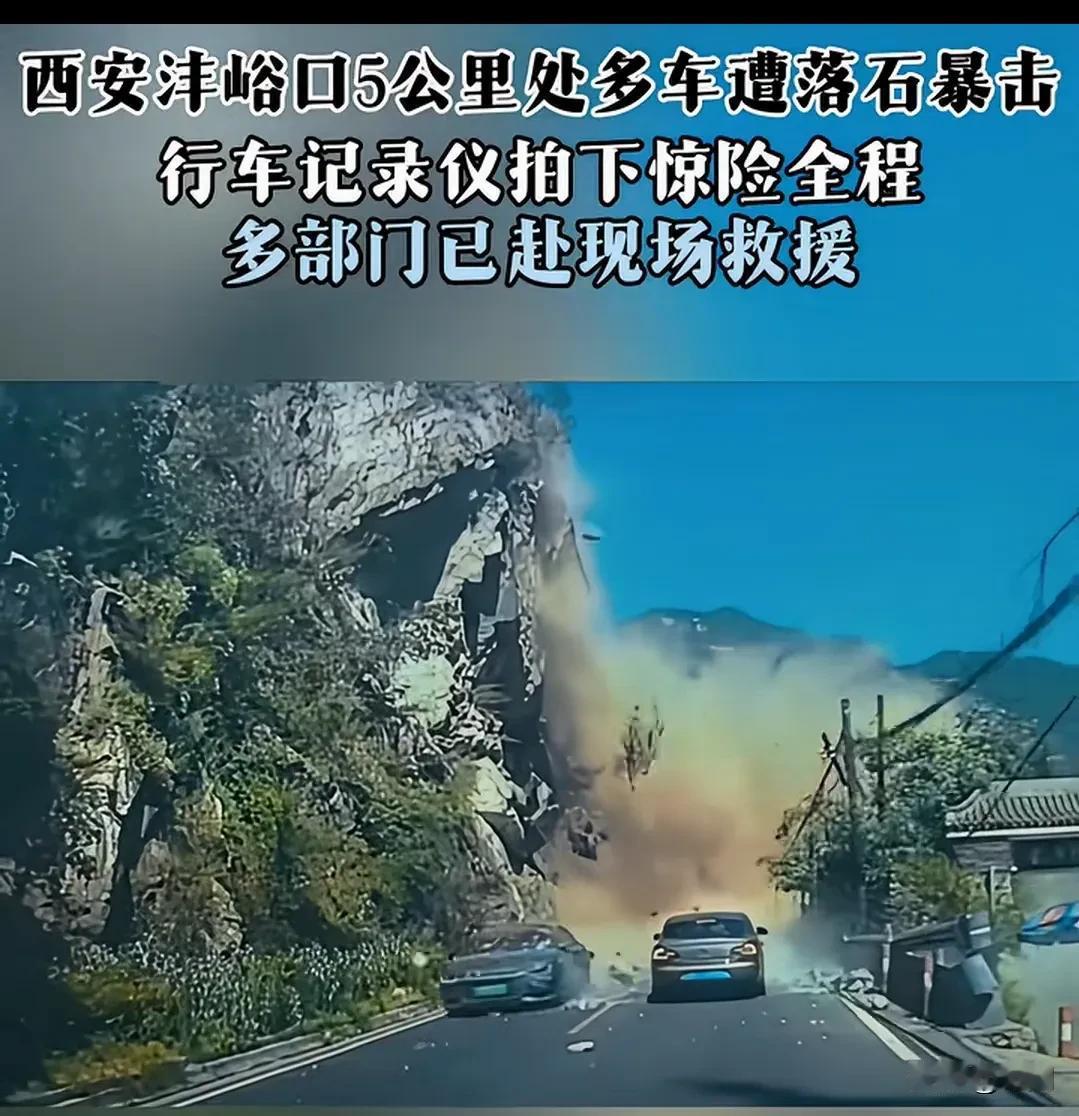 这样的驾驶员建议别开车了，这是故意等保险赔偿还是准备拍视频发抖音求关注？事发7月