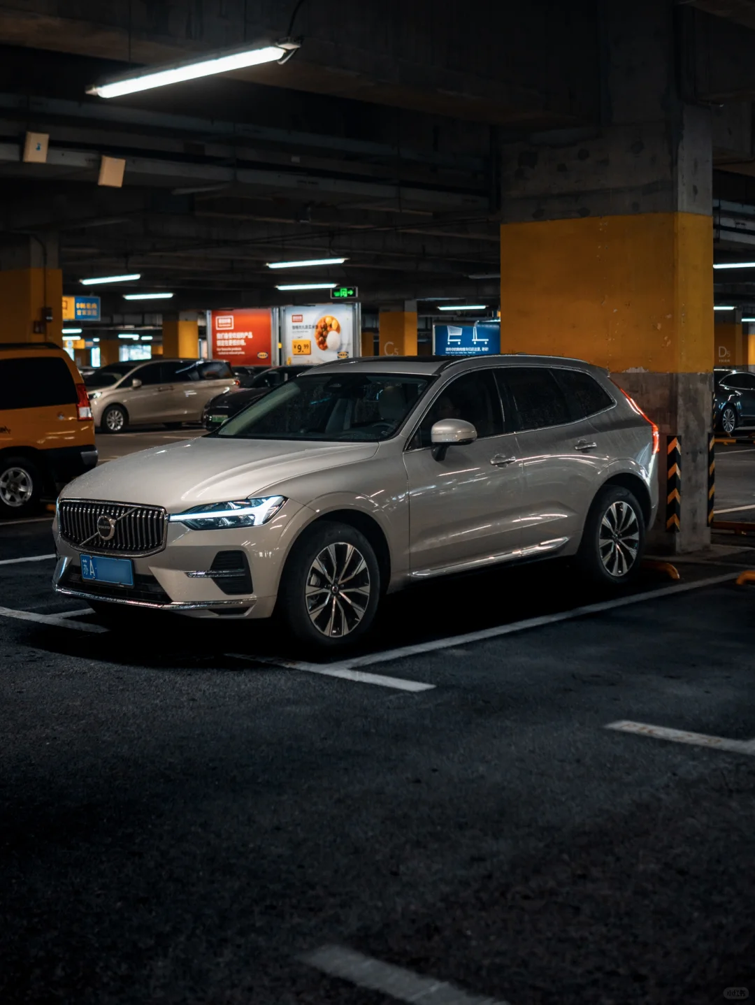 仅限南京，福利