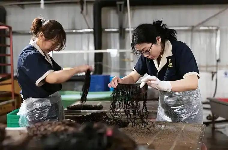 朝鲜98%出口商品卖给中国，都是什么商品？说句你们不敢信的，它出口的很多商品，普