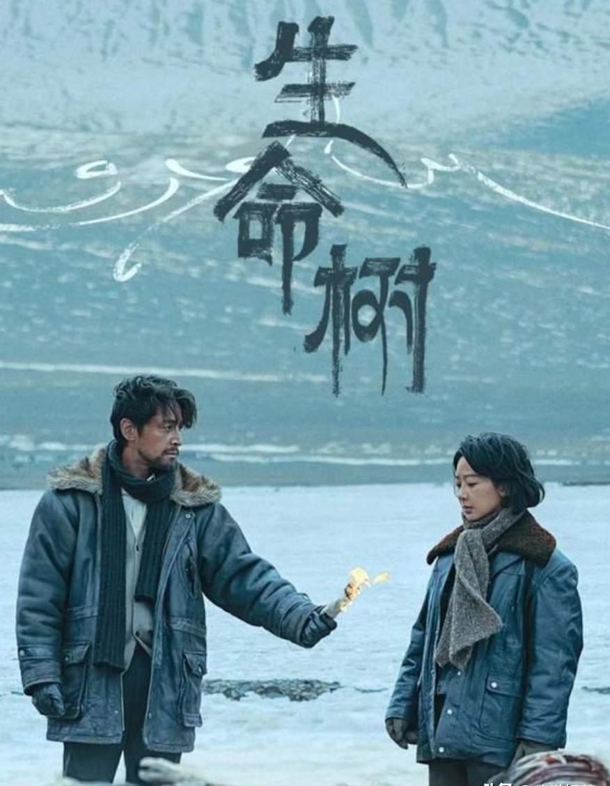 海拔4800米，一群人趴在冰河上拍摄，冻到说不出话，但镜头必须稳。
你看到的每一