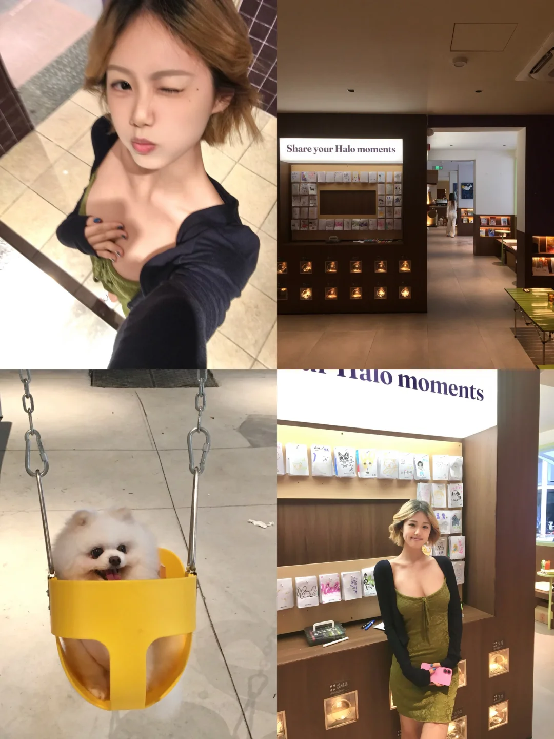 深圳新店 | 5freedoms🐶