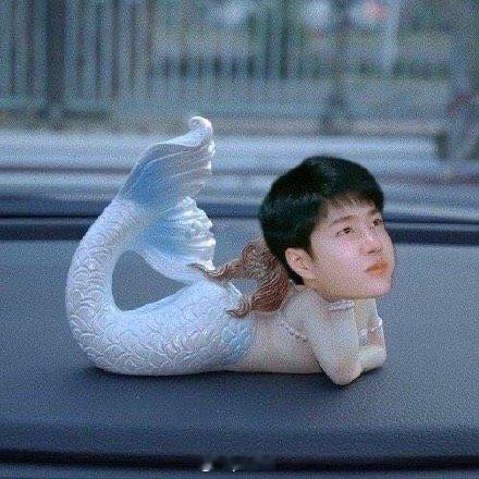 我发现丞磊叔叔的待播剧都不错唉 大ip女将星男主，成何体统ip新颖角色人设帝王，