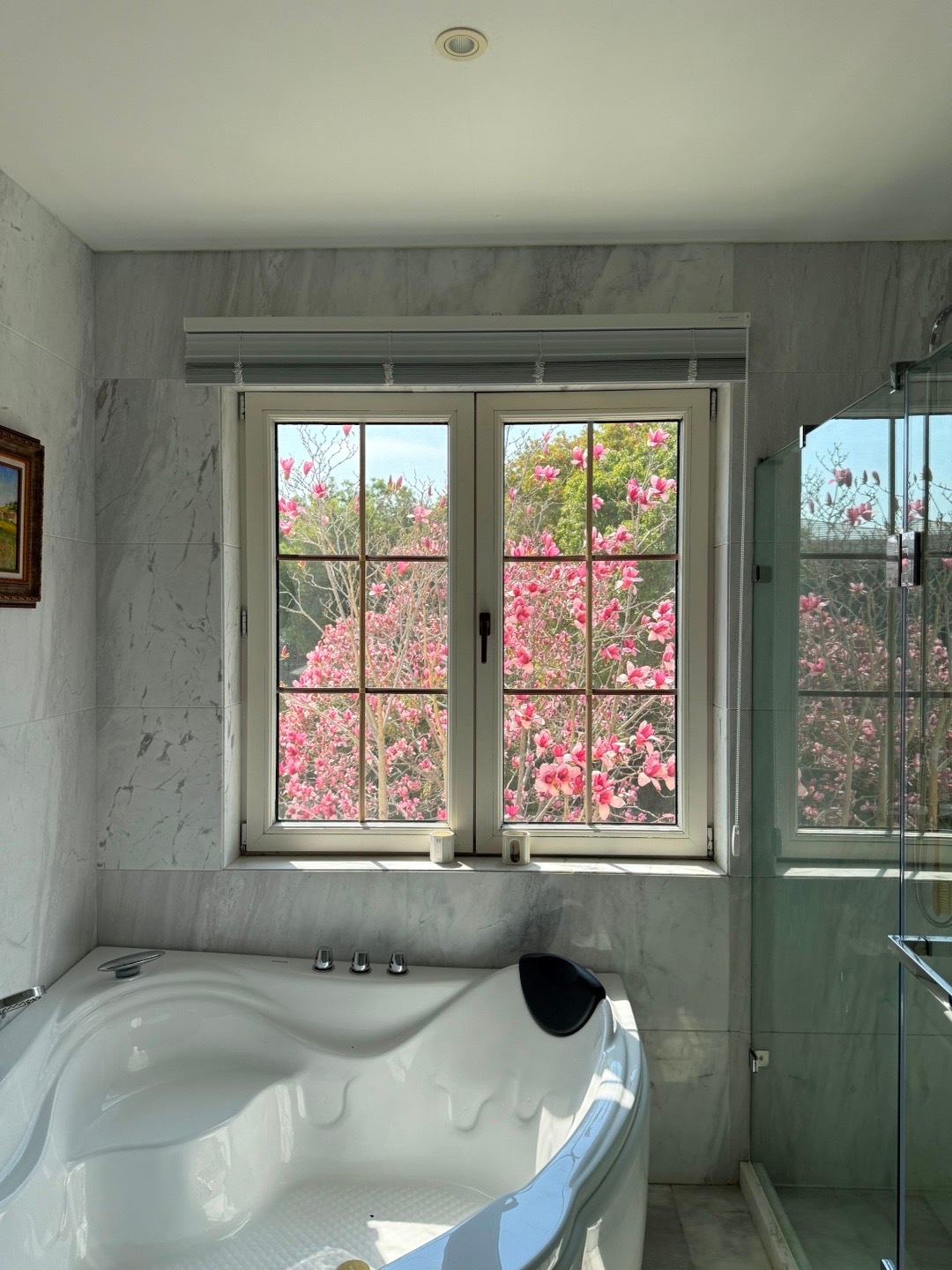 分享今日蹲马桶视角春天来噜[好运连连] ​​​