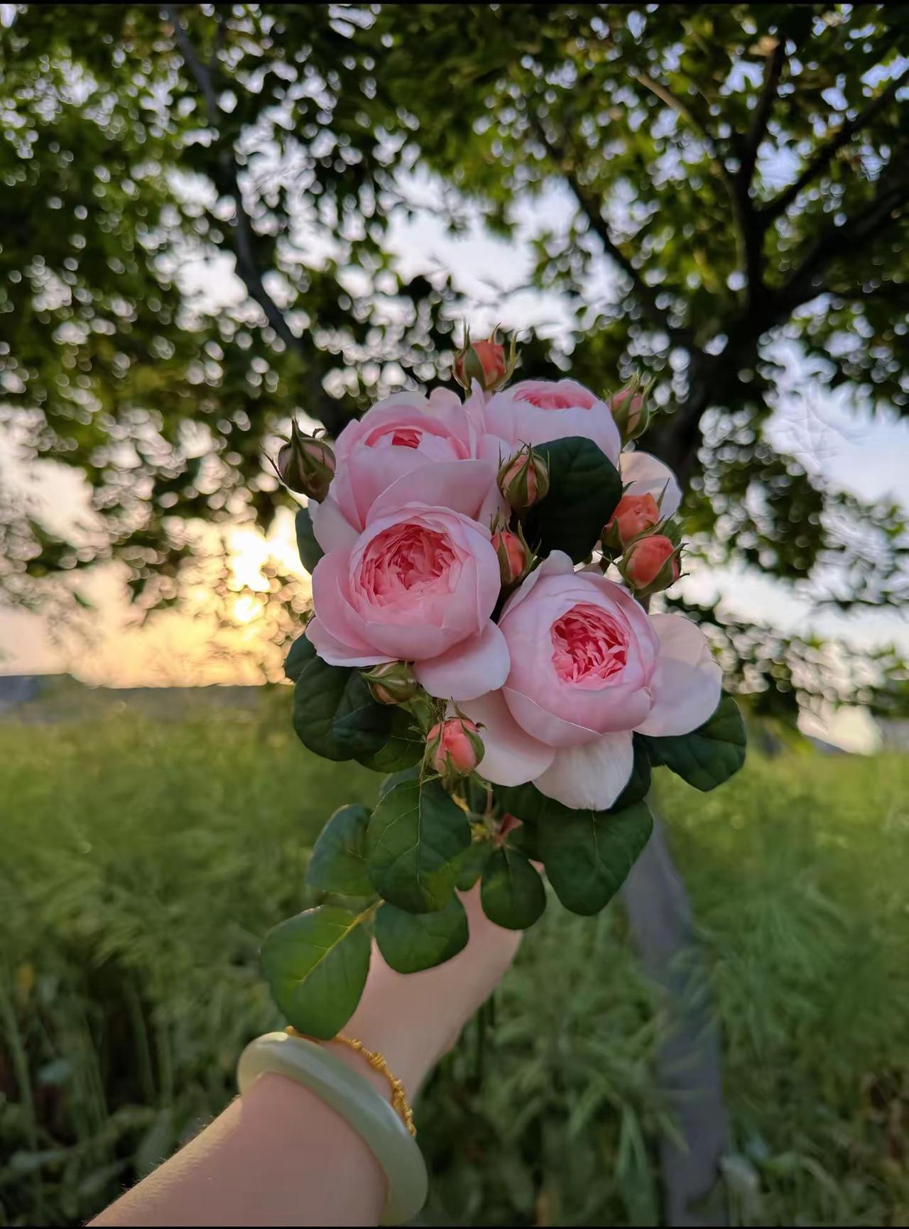 老舍先生在《养花》里写到：只要花开，我就高兴，花开好了，幸福感便不会枯萎