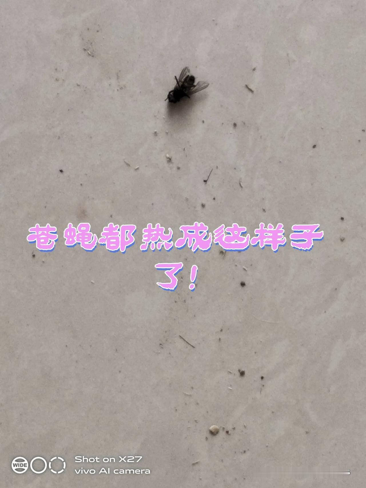 今年夏天哟！
