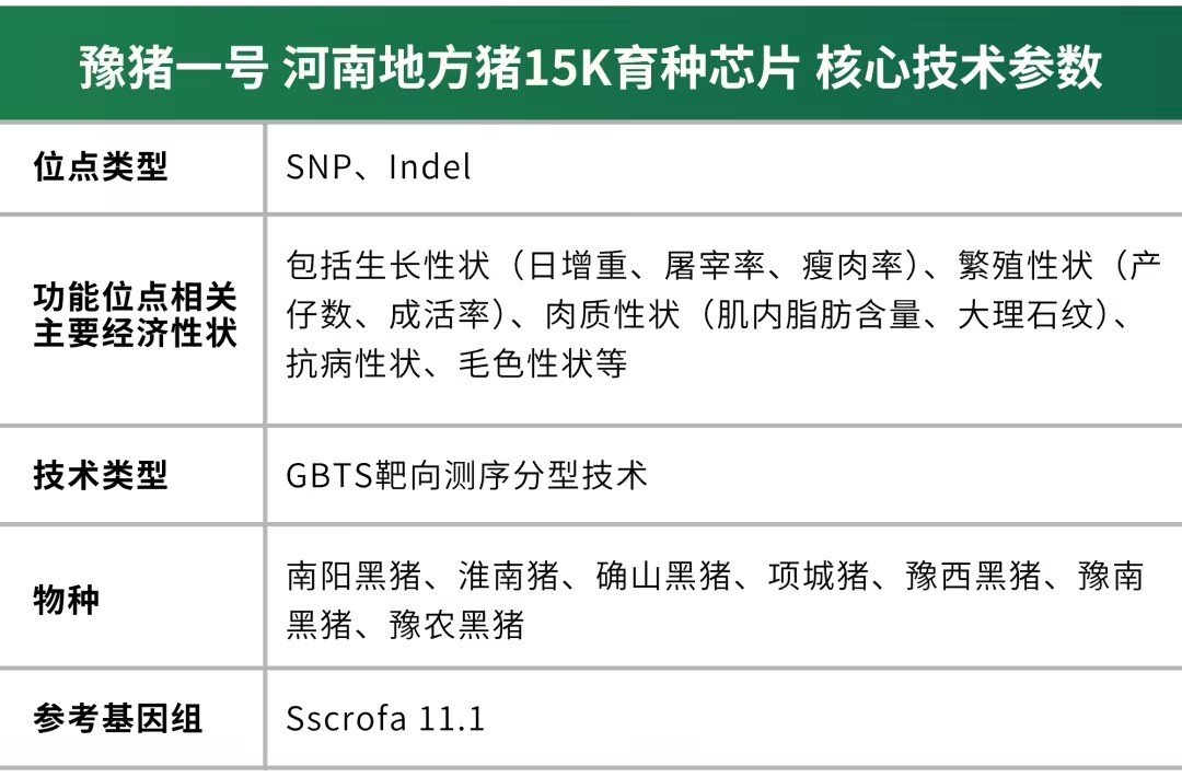 【河南首款地方猪育种芯片发布】豫猪一号育种芯片问世8月10日消息，据河南日报上周