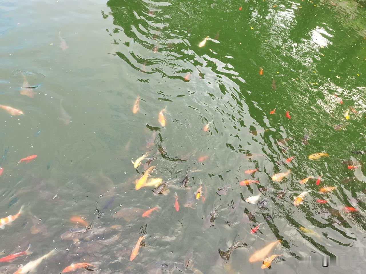 是非成败转头空。
十有八九的人，年少青春的时候，不张扬，误过了对的人，错失了好的