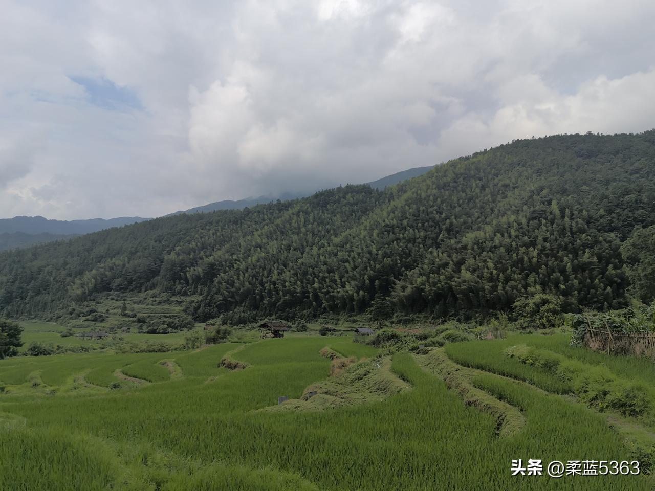 我今年60岁，如果还有二十年，那就是7300天。除去睡觉，吃饭，家务等，我应该只