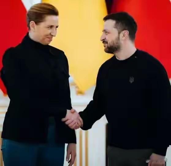 得意的笑，是丹麦首相与乌克兰总统会晤时发自肺腑的外在表情，丹麦首相心想，想当初强