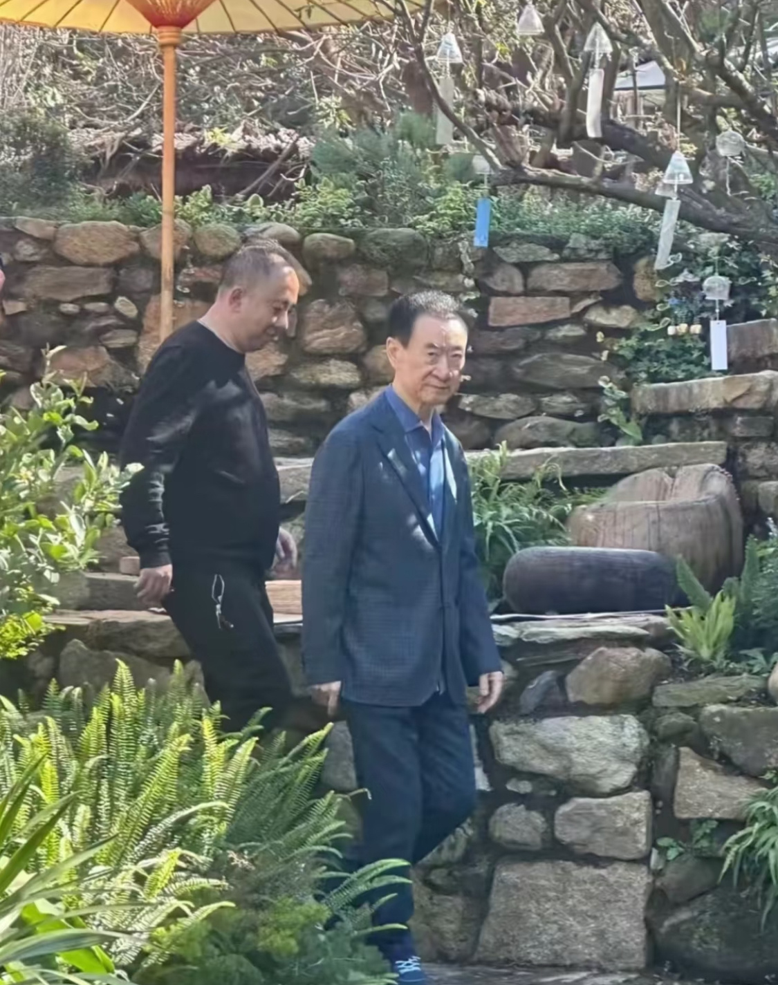 才刷到之前王健林也去看了下有风小院……网友辣评：“该不会去马爷打坐的地方找再次创