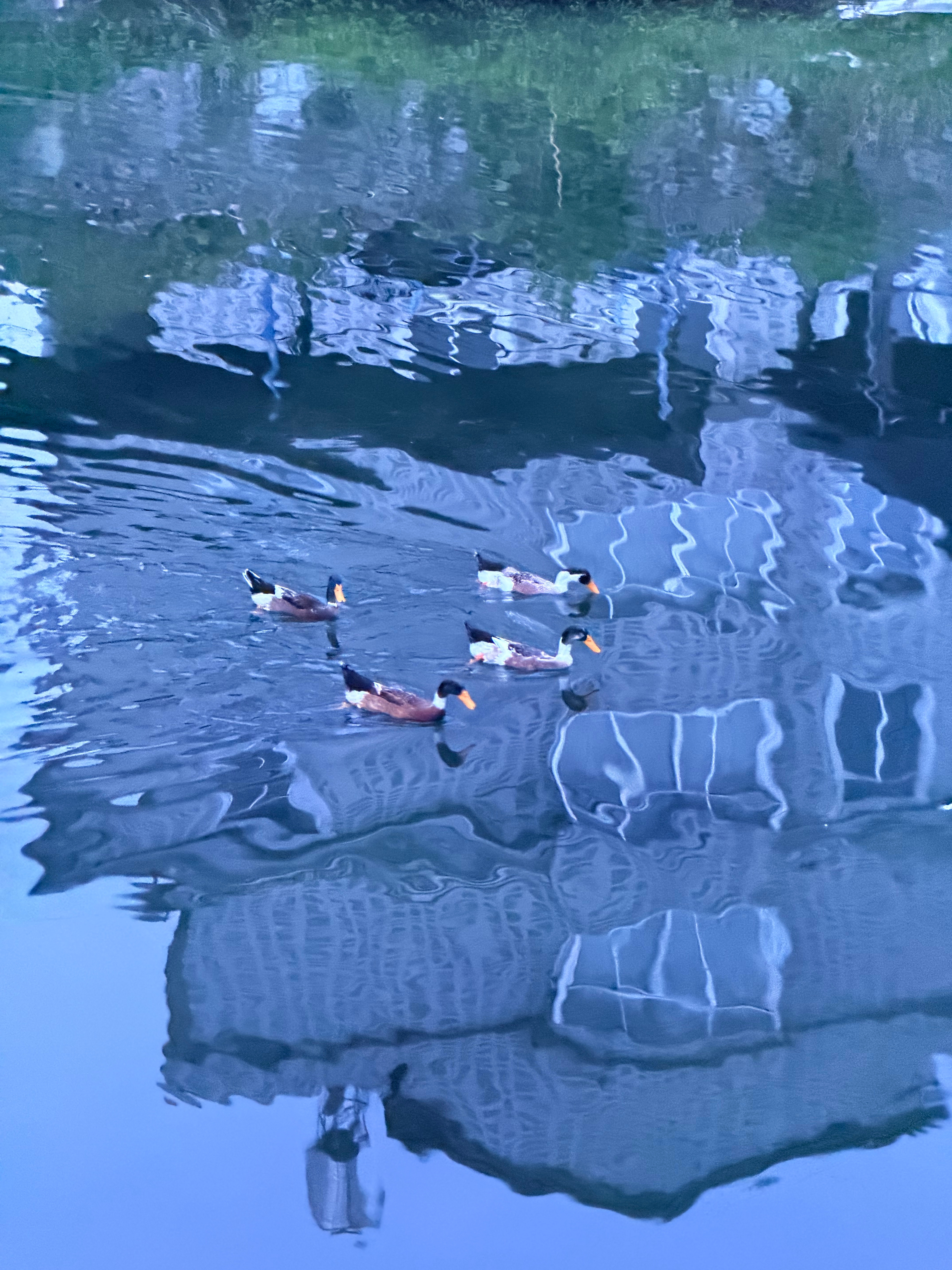 黄岩  嘎嘎嘎嘎嘎嘎嘎嘎嘎🦆嘎嘎嘎🦆嘎🦆嘎嘎嘎🦆嘎🦆嘎嘎嘎🦆嘎嘎嘎?