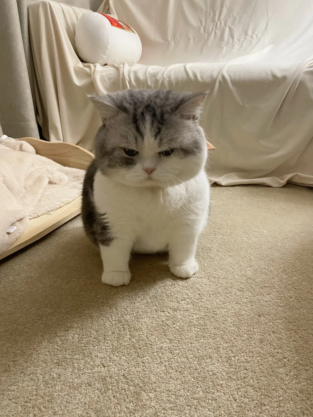 送去上班被退回