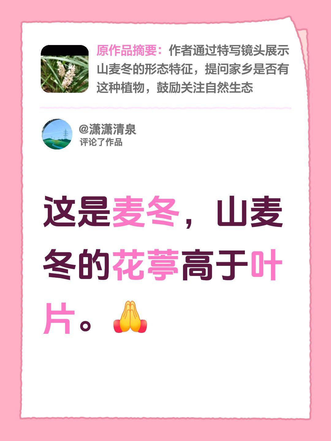我评论了@悠妈中式养生 的作品：
这是麦冬，山麦冬的花葶高于叶片。