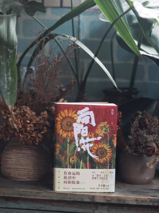 全员疯女，冯小刚最新电影原著