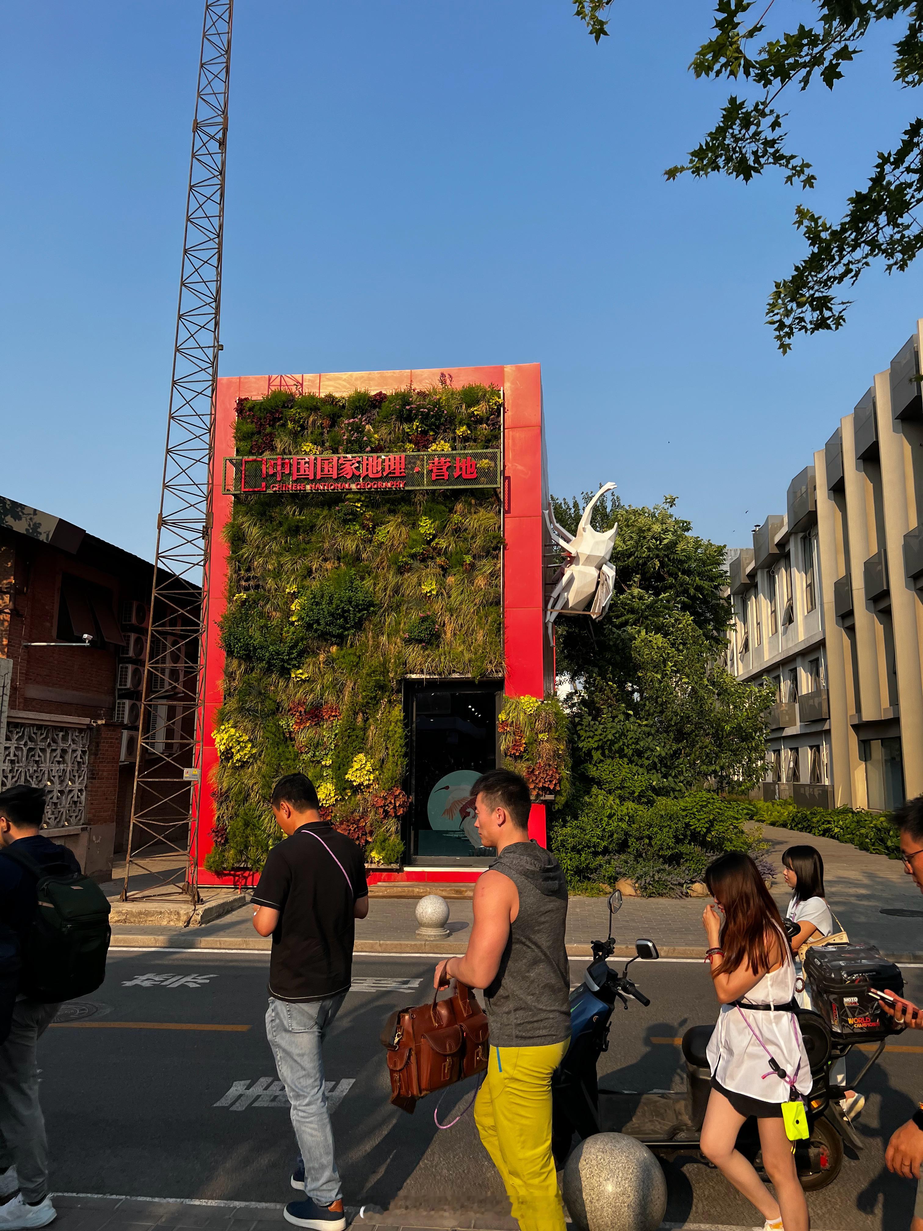 这地方太适合拍照了，今天来郎园参加活动，发现这儿还真适合拍照打卡，拍摄年轻时尚潮