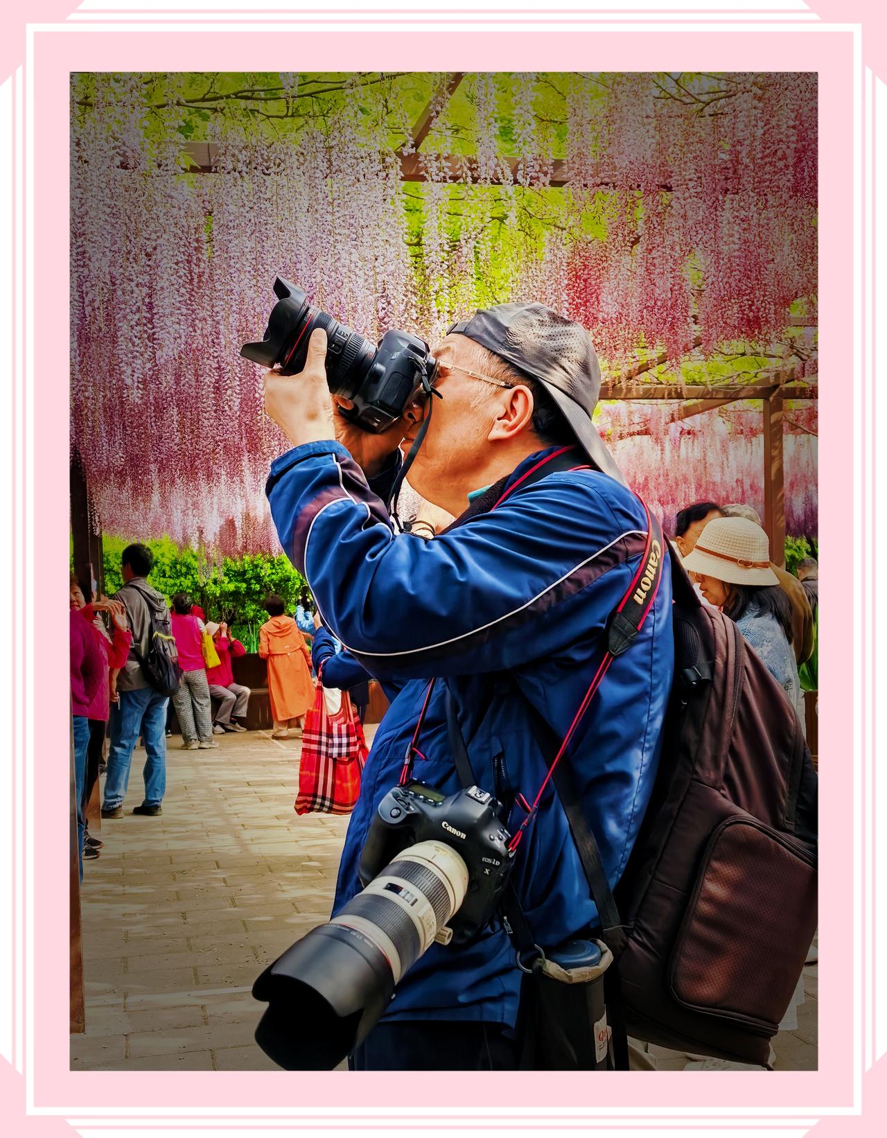 晒图笔记大赛北京玉渊潭公园藤蔓花开引人拍