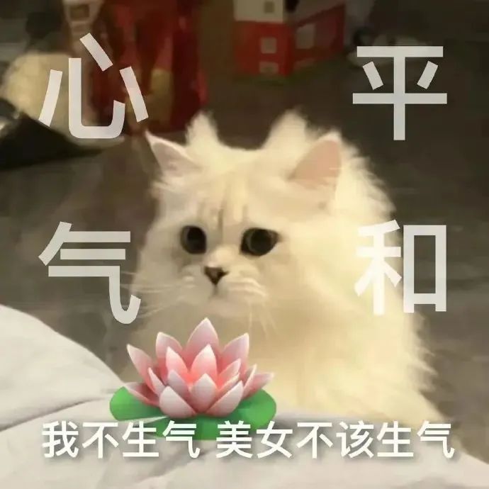 可爱微信表情包：做猫不拽 等着被甩 更新不易，拿图点赞[心]更多表情包请看主页[