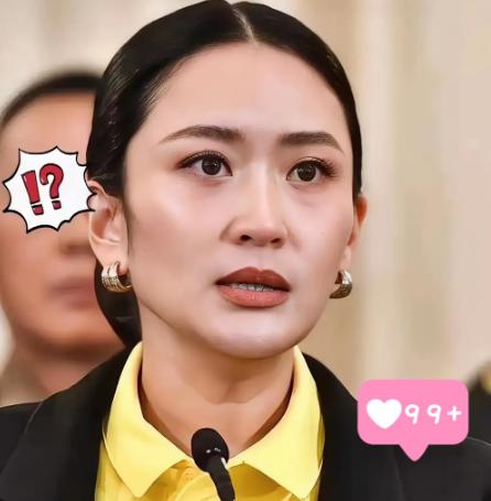 日本大选刚刚结束，这边泰国的投票结束了，结果很意外，就是自豪泰党暂时领先。
 