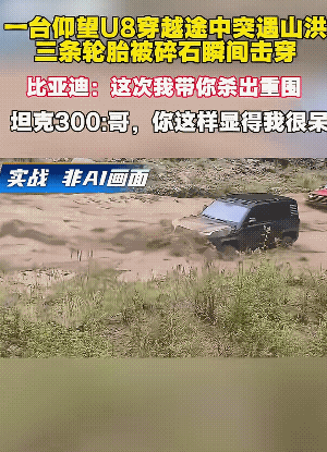 外网爆火的仰望 U8 绝地求生视频。
这是一队越野爱好者，把车开到了河沟里玩耍。