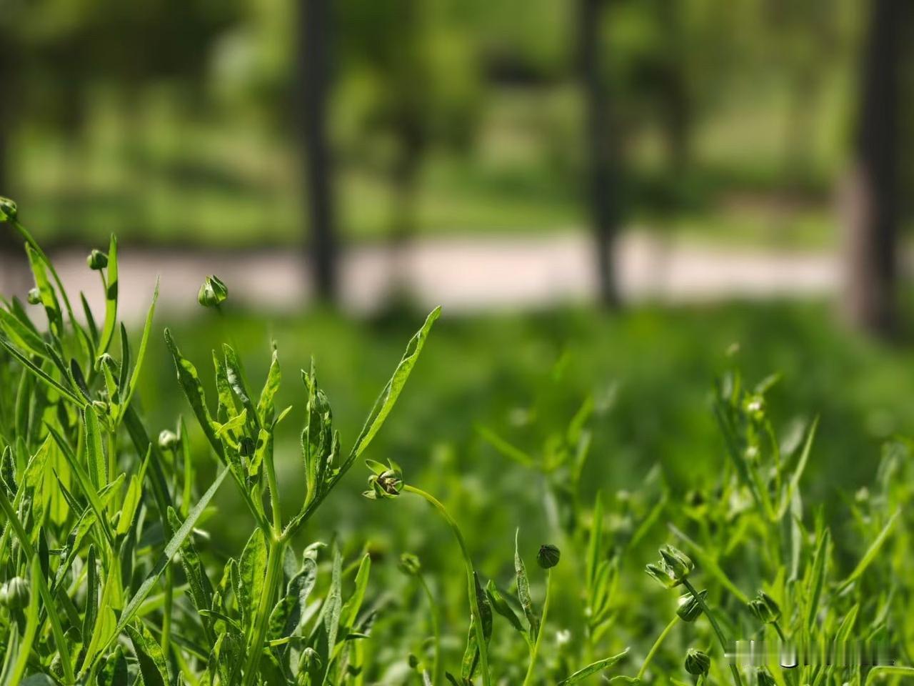 【小对联】
上：野趣；
下：……？