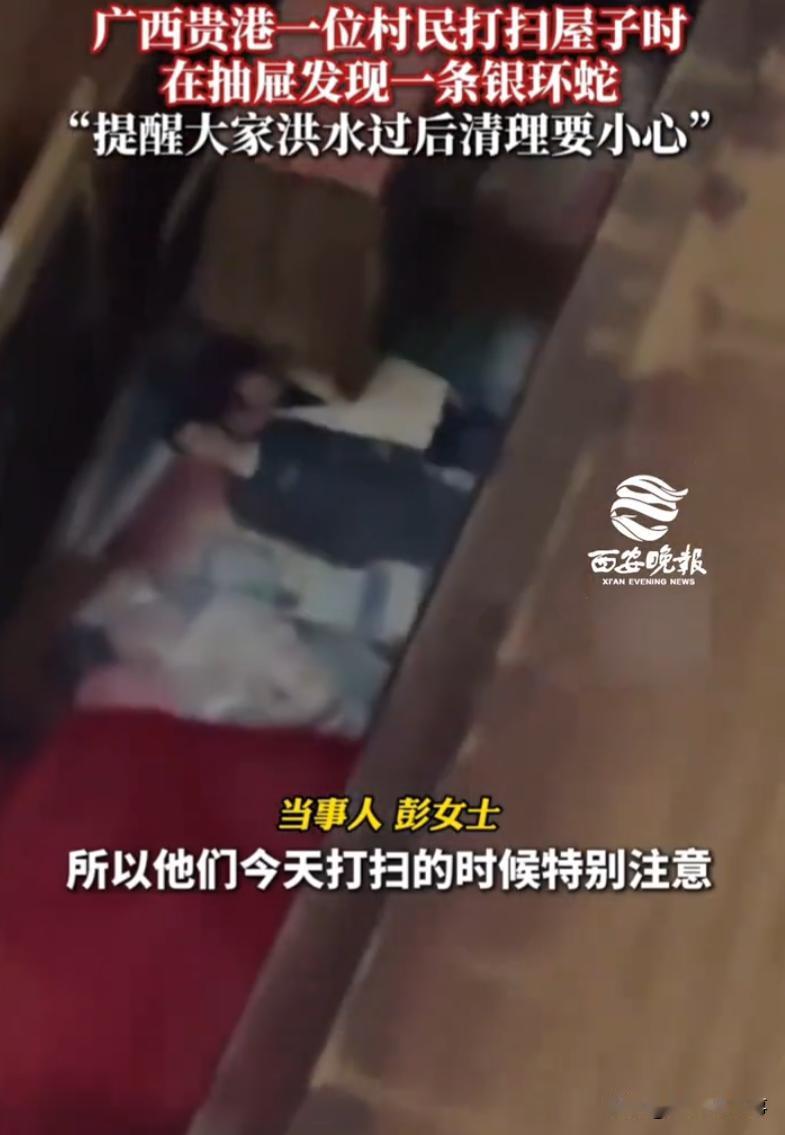 后怕！广西贵港，洪水退去后，女子一家人清理一楼，突然在抽屉里看到有个东西在动，小
