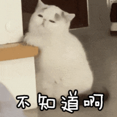 我爷们儿这两天出去应酬了。那我干嘛了呢？给自己买了个包。买玉。麻袋给大A送了两天